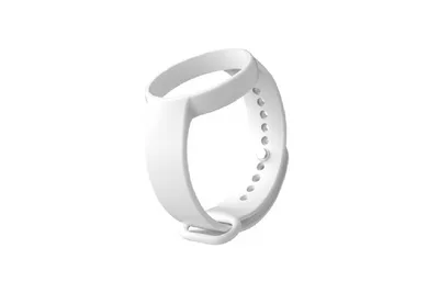 DS-PDB-IN-Wristband