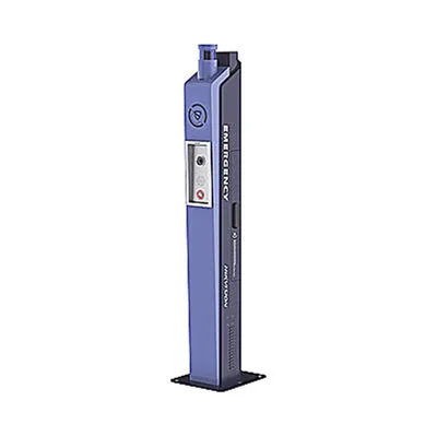 DS-PEA3M-21