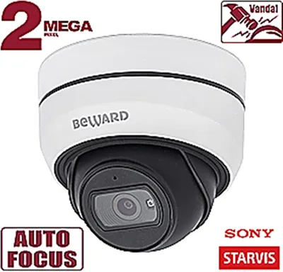 SV2010DBZ