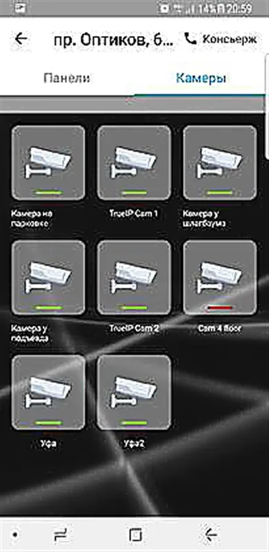 True IP Лицензия T-nect PRO