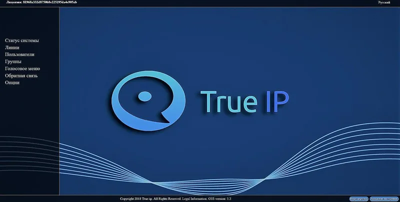 True IP ПО SIP server True IP mini