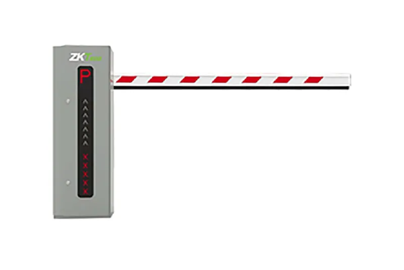 TEMID ProBG3030R