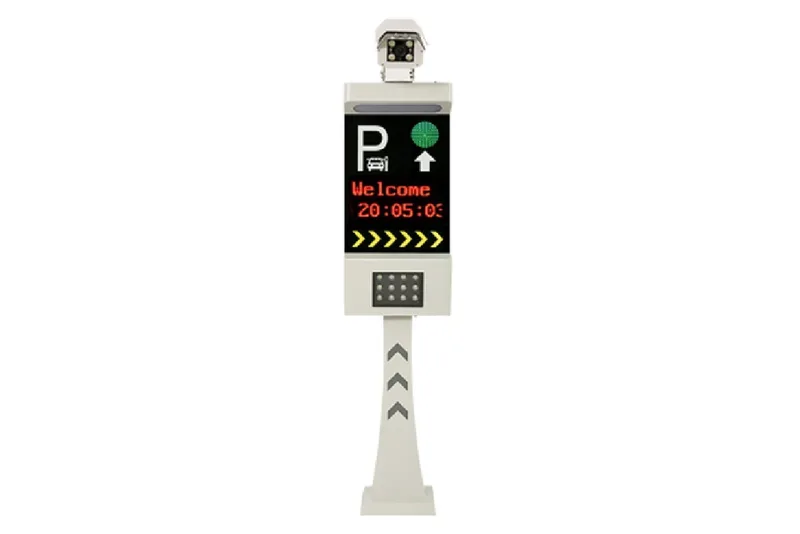 IP-камера TEMID LPRS1000